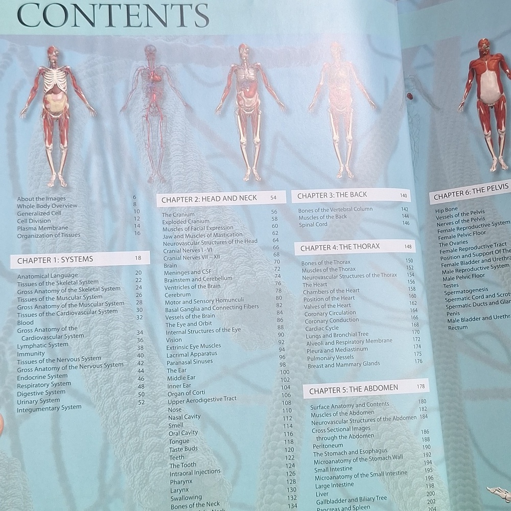 Anatomy 360° Visual Guide Book - Picture 4 of 5